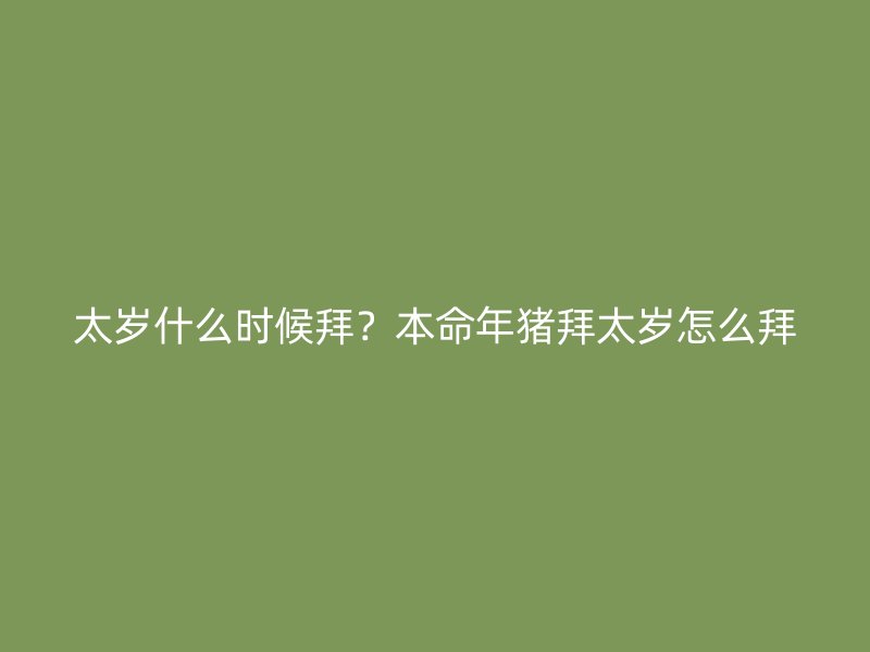 太岁什么时候拜？本命年猪拜太岁怎么拜