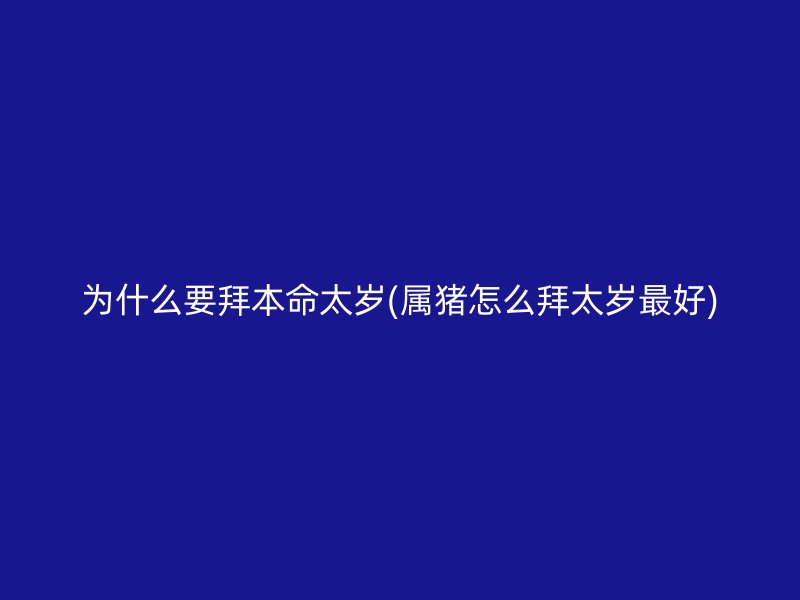 为什么要拜本命太岁(属猪怎么拜太岁最好)