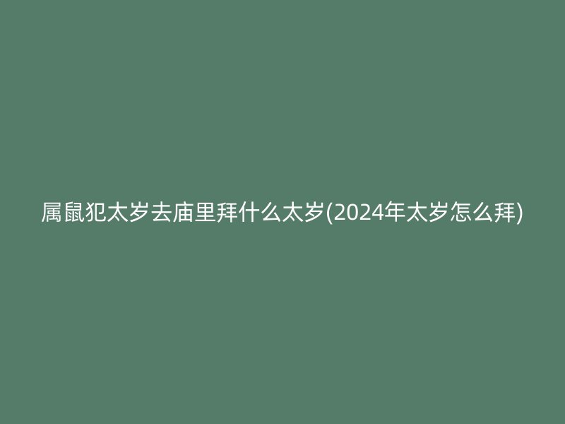 属鼠犯太岁去庙里拜什么太岁(2024年太岁怎么拜)