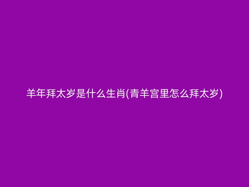 羊年拜太岁是什么生肖(青羊宫里怎么拜太岁)